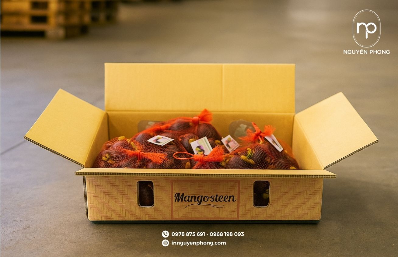 Mẫu thùng carton đựng măng cụt tiêu chuẩn